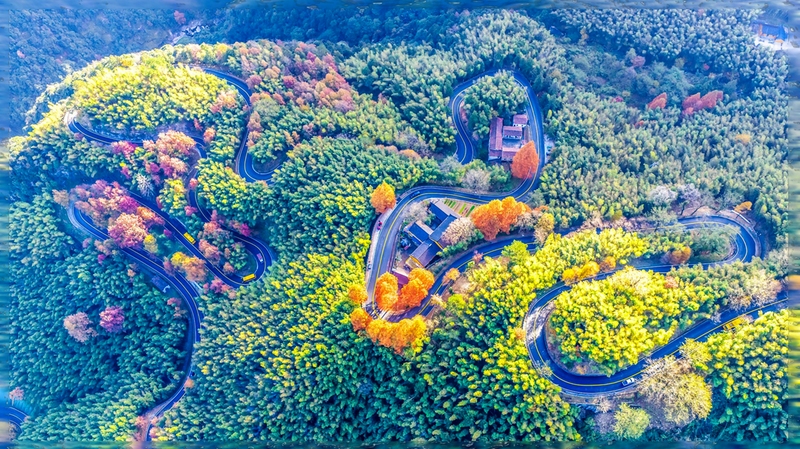 車在景中行 人在畫中游