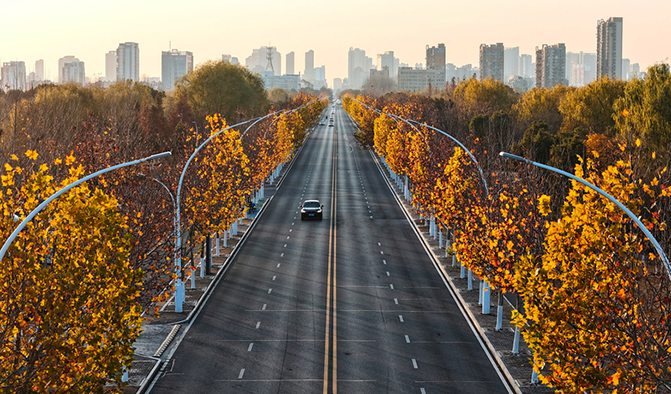 梧桐大道鎏金上線